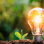 eco-friendly natureza e eletricidade