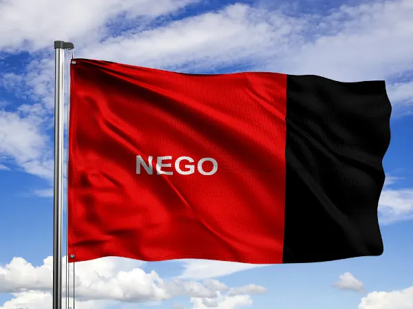 Bandeira da Paraíba