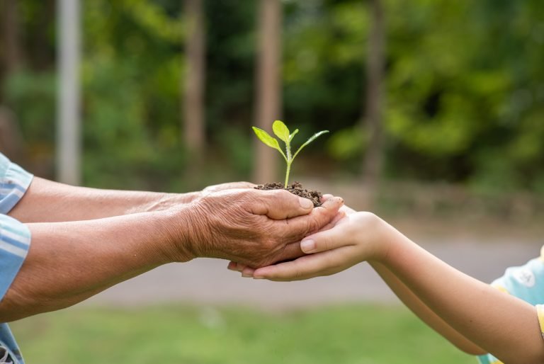 sustentabilidade-e-o-caminho